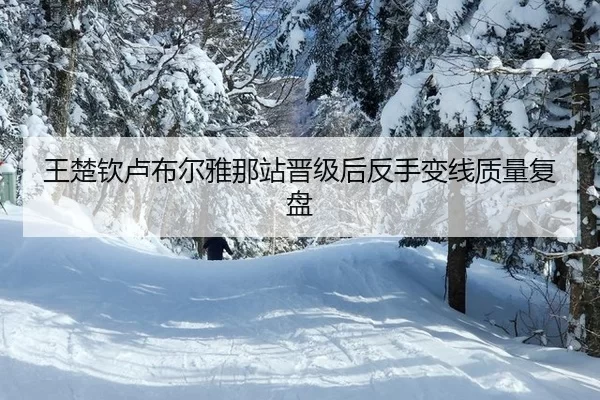 王楚钦卢布尔雅那站晋级后反手变线质量复盘